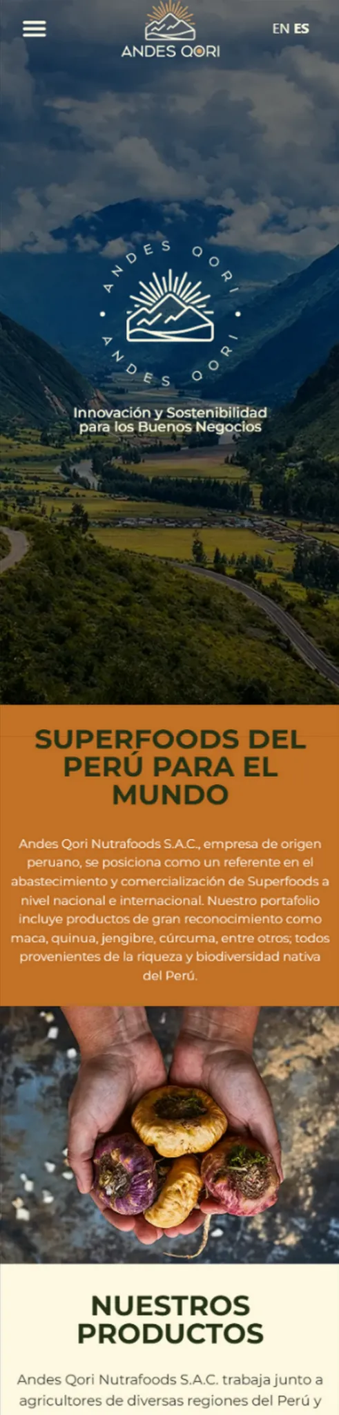 Diseño web responsive Andes Qori desarrollado por Admira Creativos
