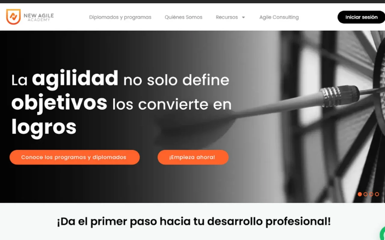 New Agile Academy